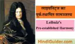 लाइबनिट्ज का पूर्व-स्थापित सामञ्जस्य क्या है | Leibniz’s Pre-established Harmony in Hindi