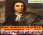 स्पिनोजा का समान्तरवाद तथा ज्ञान स्तर | Spinoza’s Parallelism & Knowledge in Hindi